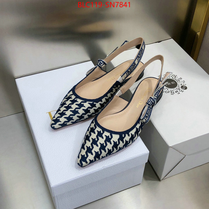 Women Shoes-Dior,outlet 1:1 replica , ID: SN7841,$: 119USD