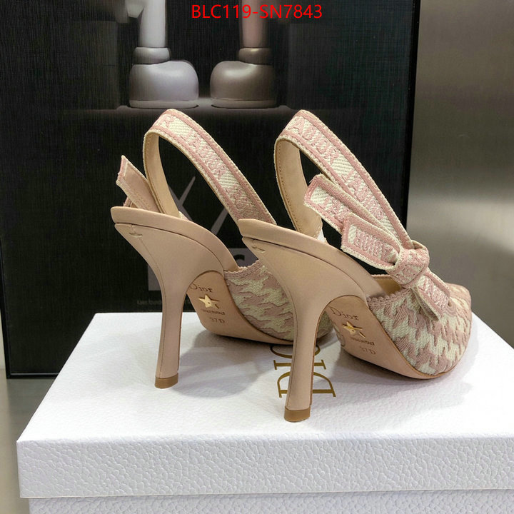 Women Shoes-Dior,we curate the best , ID: SN7843,$: 119USD