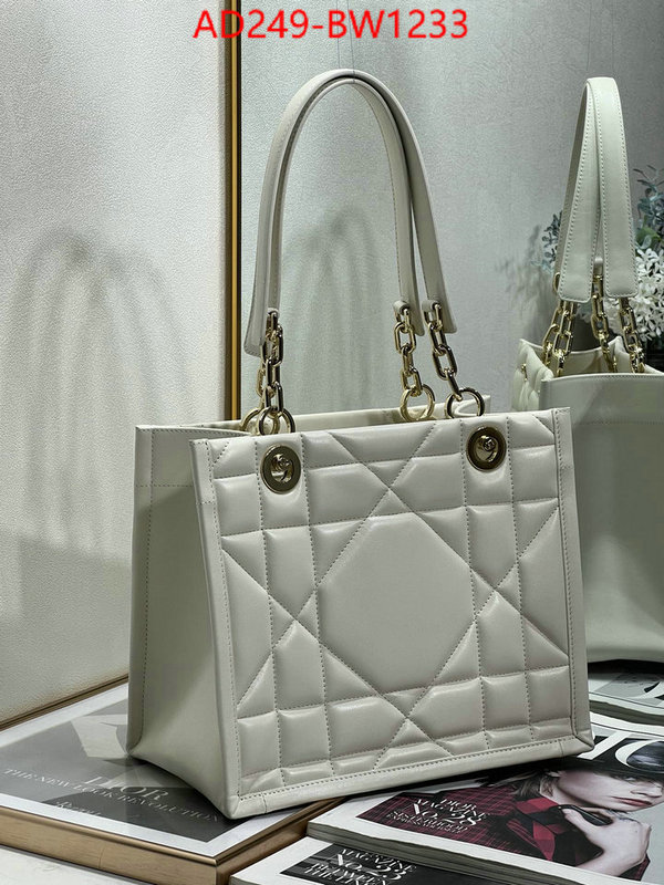 Dior Bags(TOP)-Other Style-,ID: BW1233,$: 249USD