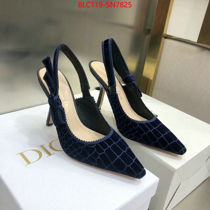 Women Shoes-Dior,buy 1:1 , ID: SN7825,$: 119USD