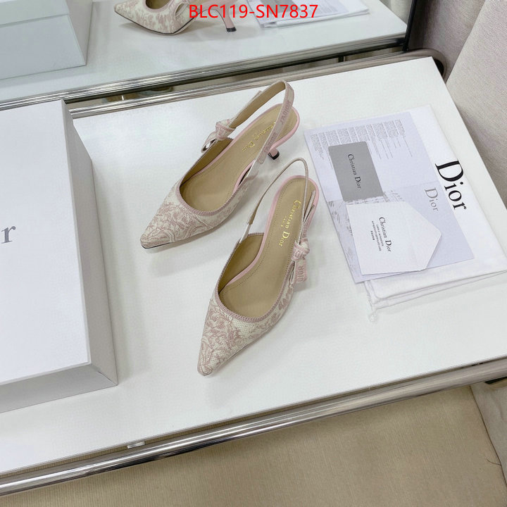 Women Shoes-Dior,replicas , ID: SN7837,$: 119USD