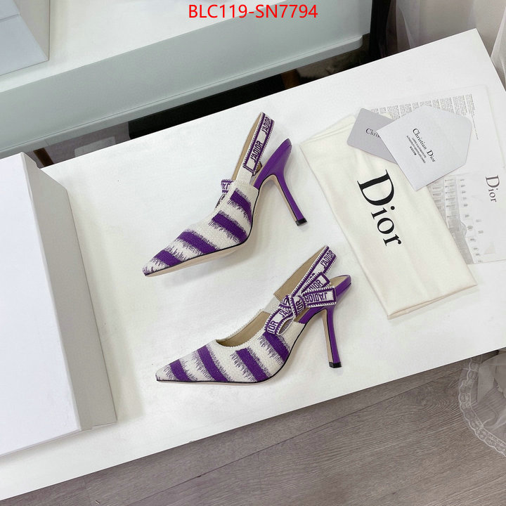 Women Shoes-Dior,online store , ID: SN7794,$: 119USD