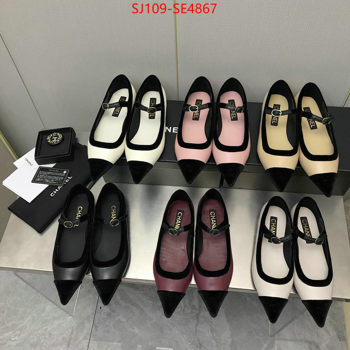 Women Shoes-Chanel,high-end designer , ID: SE4867,$: 109USD