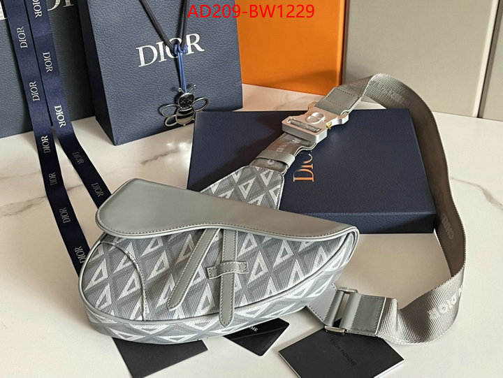 Dior Bags(TOP)-Saddle-,ID: BW1229,$: 209USD