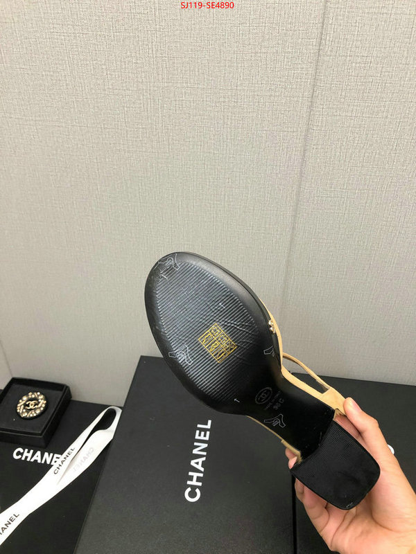 Women Shoes-Chanel,how to buy replica shop , ID: SE4890,$: 119USD