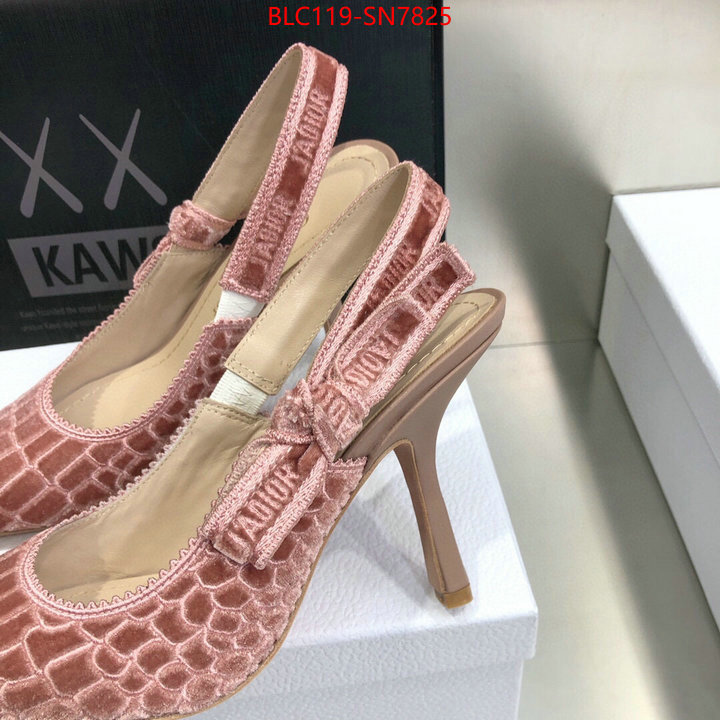 Women Shoes-Dior,buy 1:1 , ID: SN7825,$: 119USD