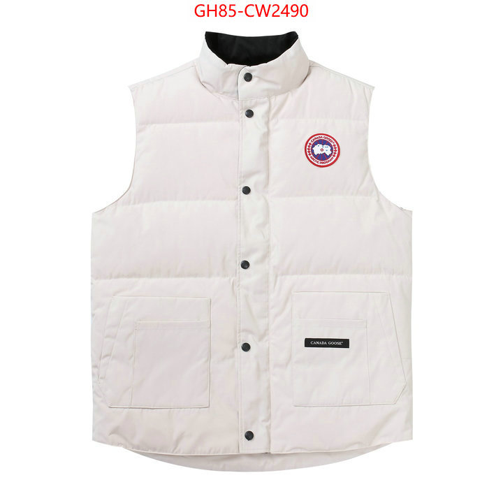 Down jacket Men-Canada Goose,best quality replica , ID: CW2490,$: 85USD