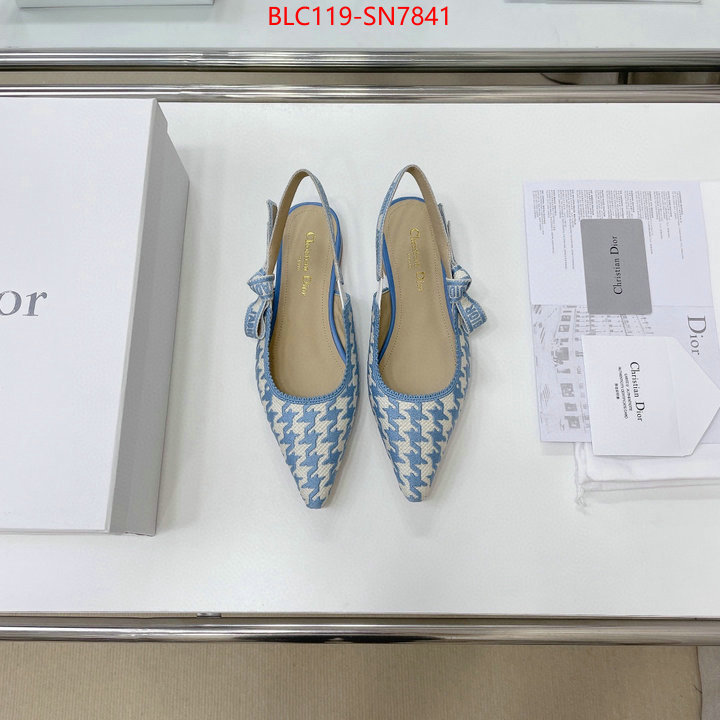 Women Shoes-Dior,outlet 1:1 replica , ID: SN7841,$: 119USD