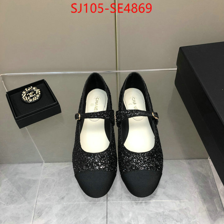 Women Shoes-Chanel,aaaaa quality replica , ID: SE4869,$: 105USD