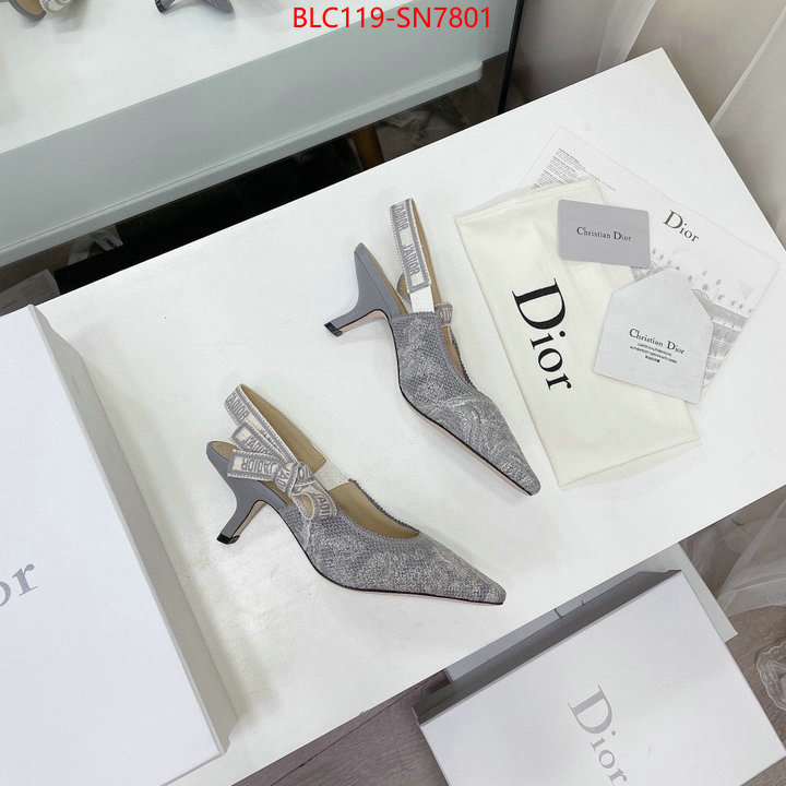 Women Shoes-Dior,what 1:1 replica , ID: SN7801,$: 119USD