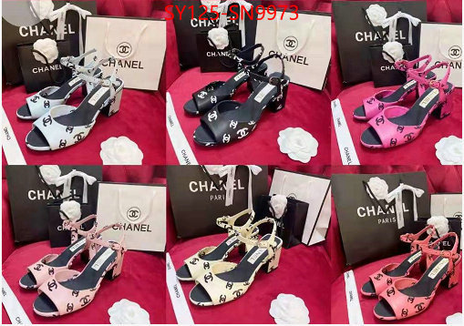 Women Shoes-Chanel,shop the best high authentic quality replica , ID: SN9973,$: 125USD