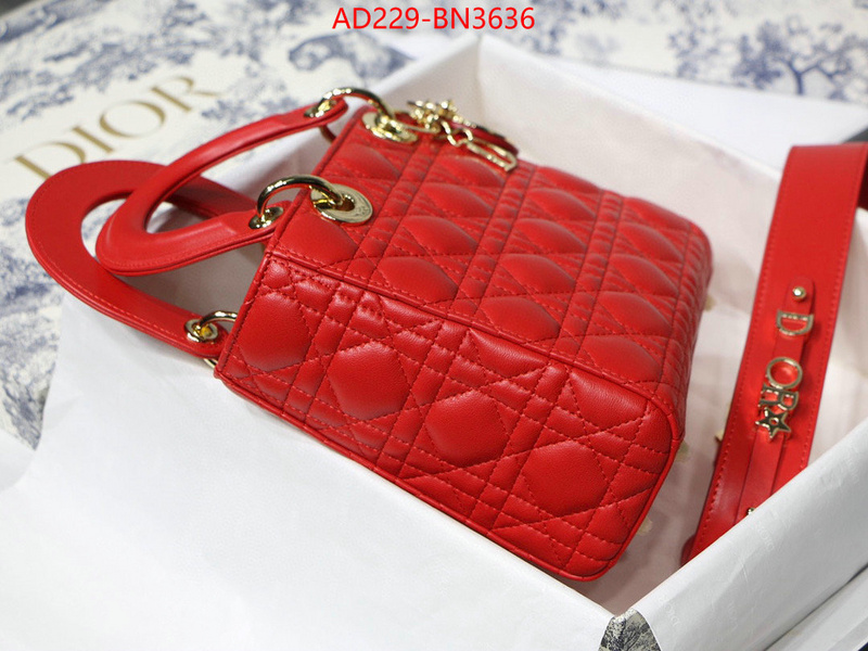 Dior Bags(TOP)-Lady-,ID: BN3636,$: 229USD