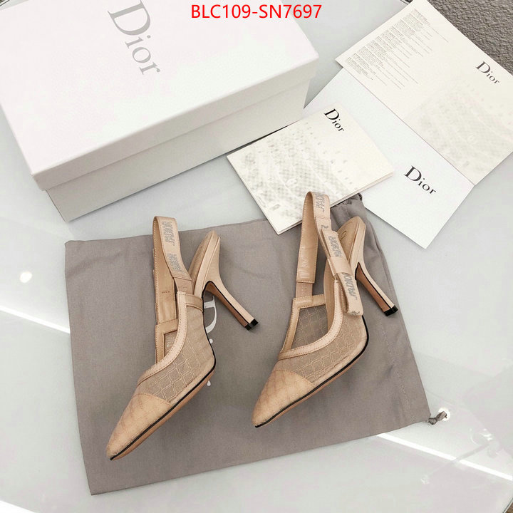 Women Shoes-Dior,top quality designer replica , ID: SN7697,$: 109USD