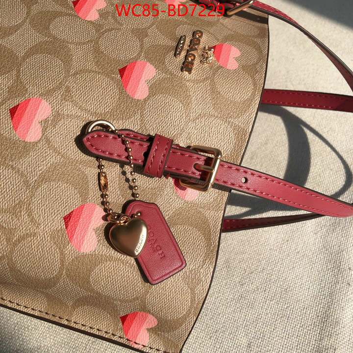 Coach Bags(4A)-Tote-,aaaaa replica ,ID: BD7229,$: 85USD