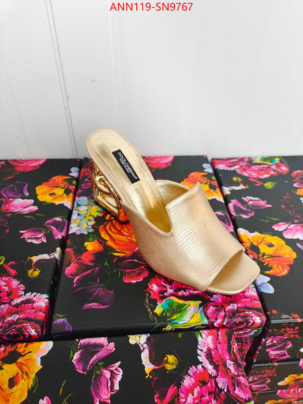 Women Shoes-DG,what's the best to buy replica , ID: SN9767,$: 119USD