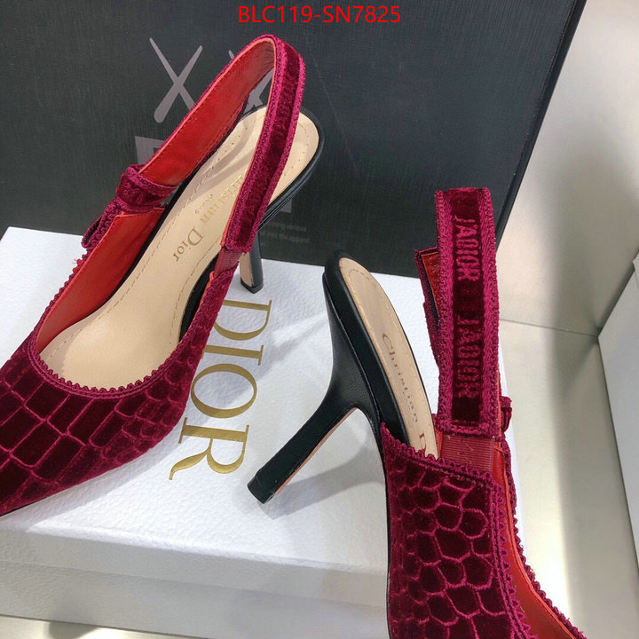 Women Shoes-Dior,buy 1:1 , ID: SN7825,$: 119USD