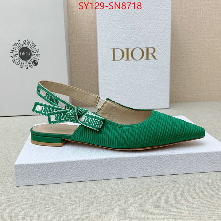 Women Shoes-Dior,luxury cheap , ID: SN8718,$: 129USD