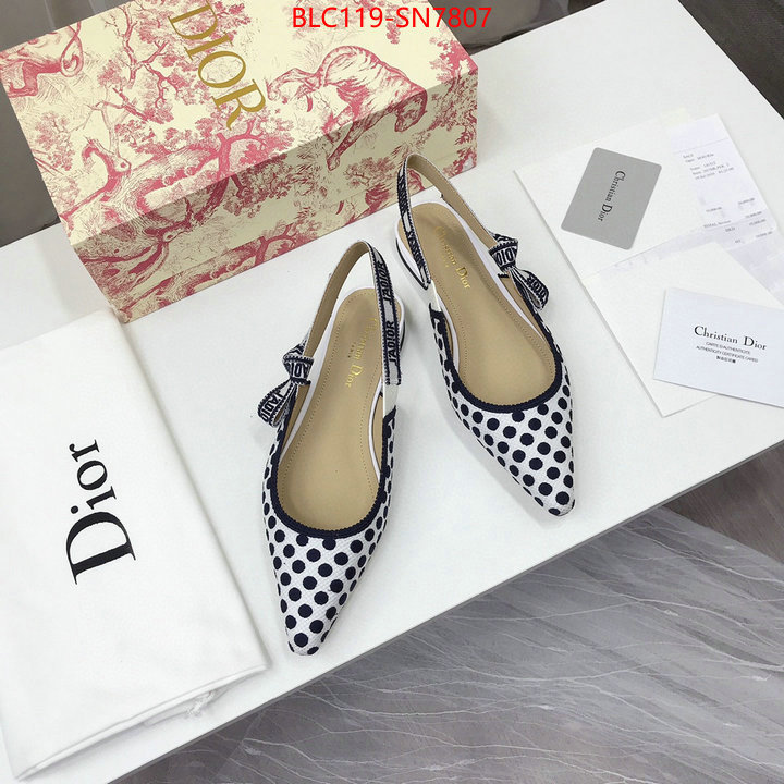 Women Shoes-Dior,buy cheap replica , ID: SN7807,$: 119USD