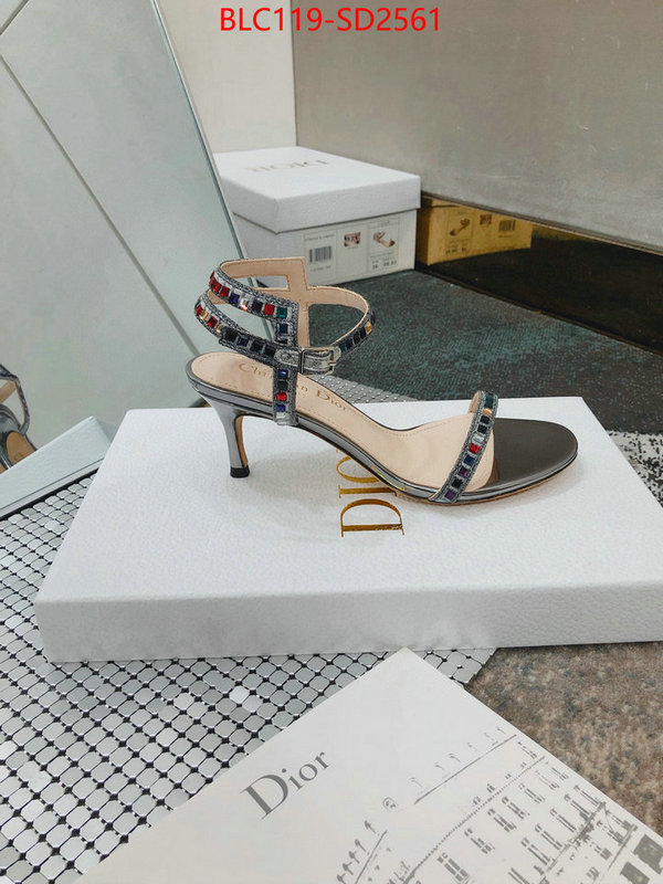 Women Shoes-Dior,sell online luxury designer , ID: SD2561,$: 119USD