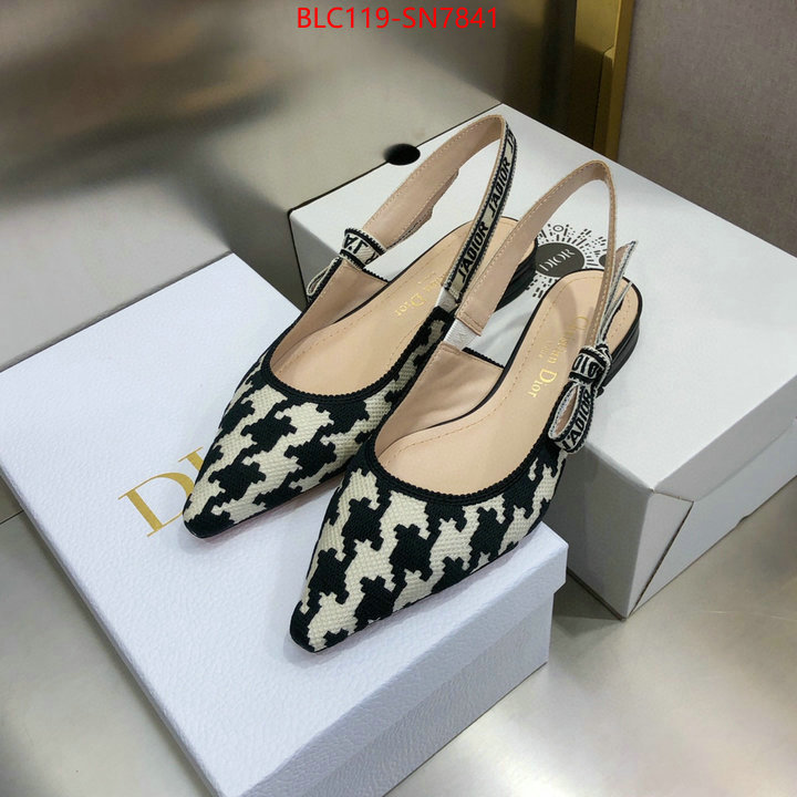 Women Shoes-Dior,outlet 1:1 replica , ID: SN7841,$: 119USD