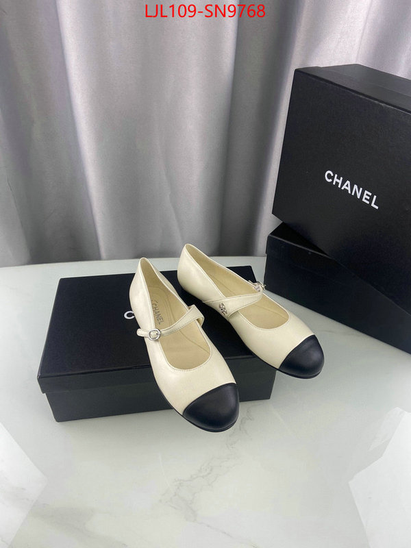 Women Shoes-Chanel,where can i buy the best quality , ID: SN9768,$: 109USD