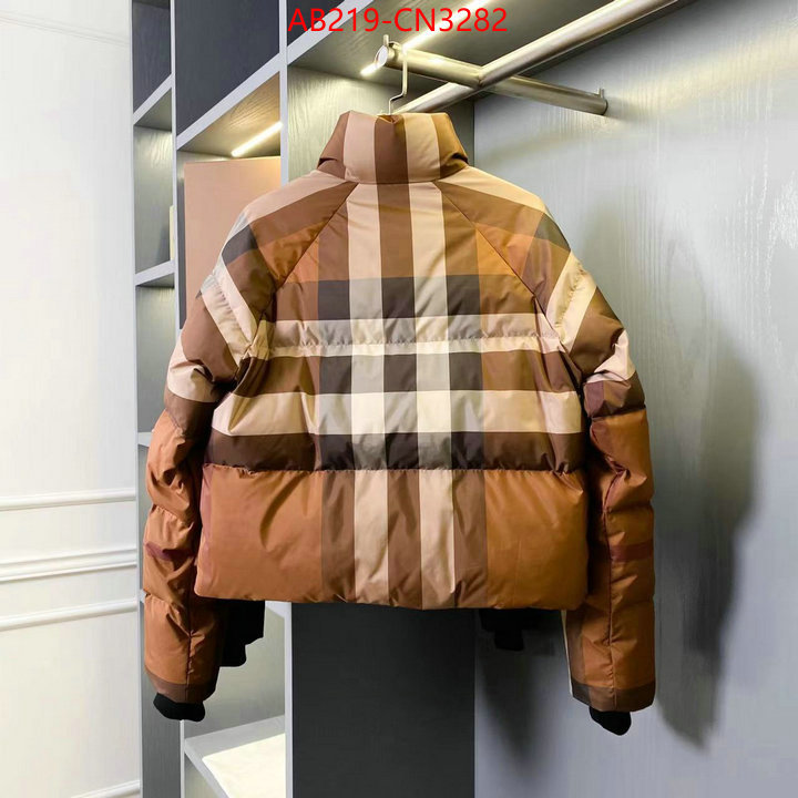 Down jacket Women-Burberry,replicas buy special , ID: CN3282,