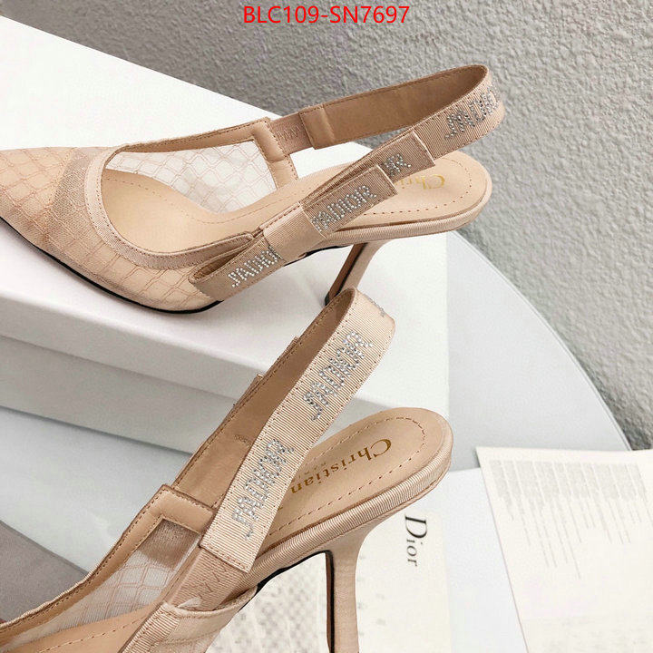 Women Shoes-Dior,top quality designer replica , ID: SN7697,$: 109USD