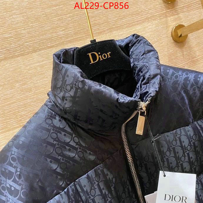 Down jacket Women-Dior,china sale , ID: CP856,$: 229USD