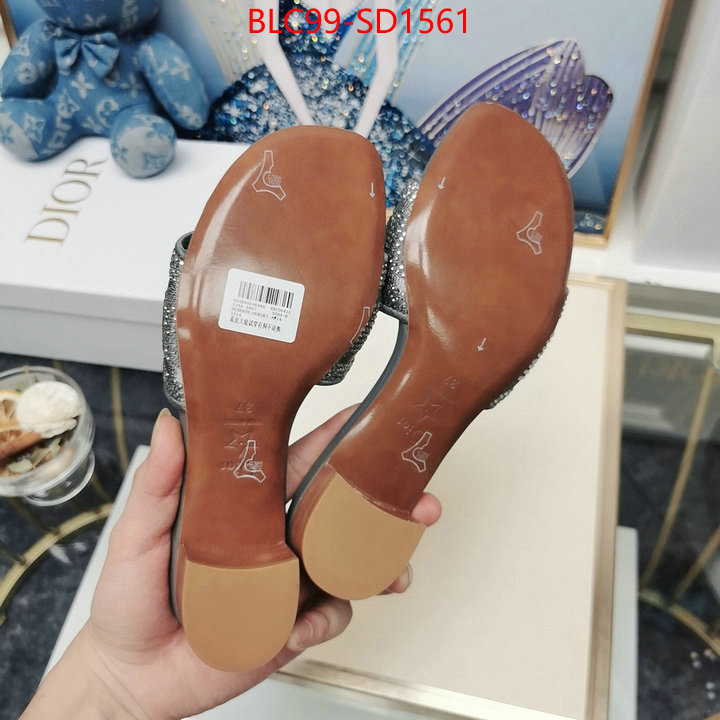 Women Shoes-Dior,best site for replica , ID: SD1561,$: 99USD