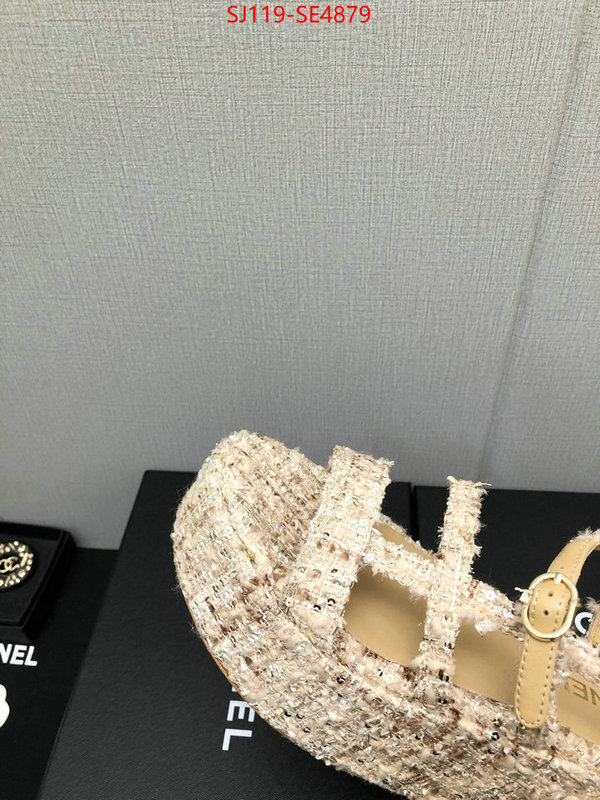 Women Shoes-Chanel,cheap replica designer , ID: SE4879,$: 119USD