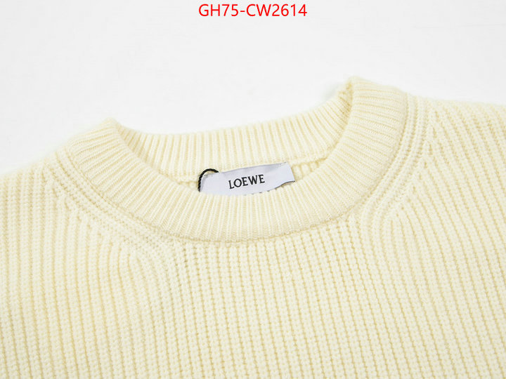 Clothing-Loewe,top quality replica , ID: CW2614,$: 75USD