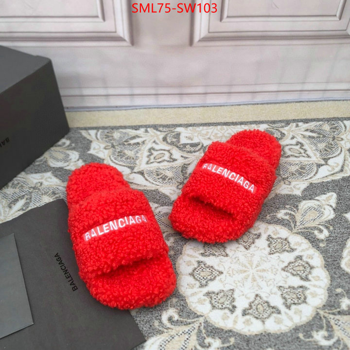 Women Shoes-Balenciaga,fake high quality , ID: SW103,$: 75USD