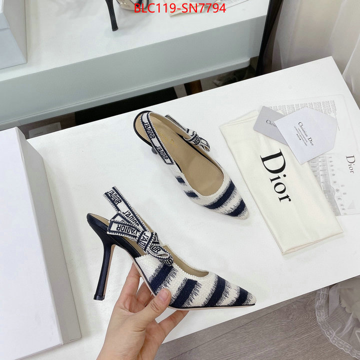 Women Shoes-Dior,online store , ID: SN7794,$: 119USD