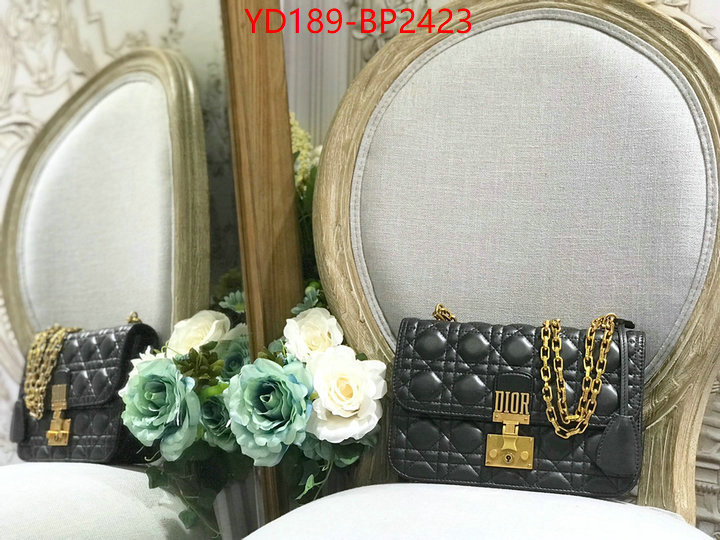 Dior Bags(TOP)-Other Style-,ID: BP2423,$: 189USD