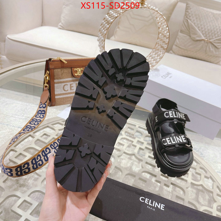 Women Shoes-CELINE,top quality designer replica , ID: SD2509,$: 115USD