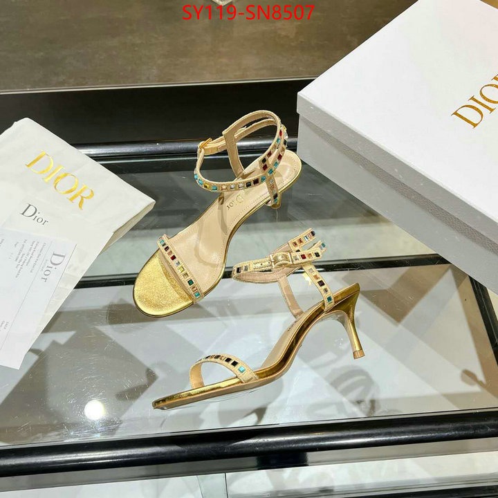 Women Shoes-Dior,new 2023 , ID: SN8507,$: 119USD