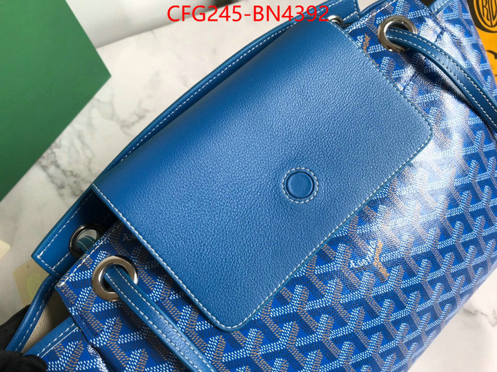 Goyard Bags(TOP)-Handbag-,ID: BN4392,$: 245USD