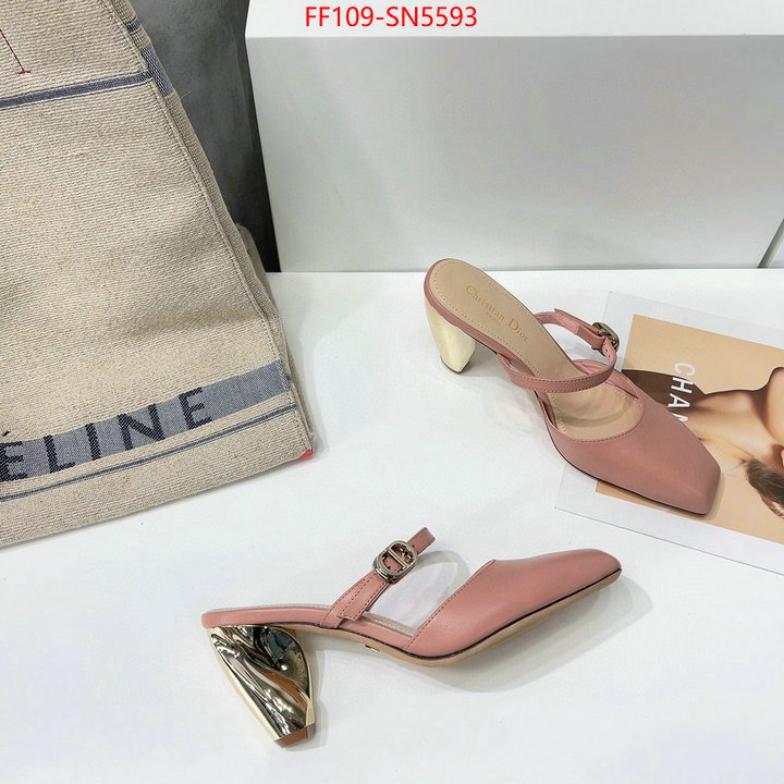 Women Shoes-Dior,designer 7 star replica , ID: SN5593,$: 109USD