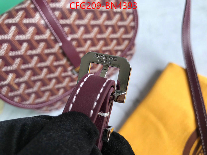 Goyard Bags(TOP)-Diagonal-,ID: BN4393,$: 209USD