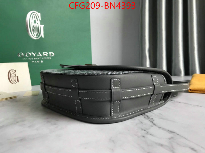 Goyard Bags(TOP)-Diagonal-,ID: BN4393,$: 209USD