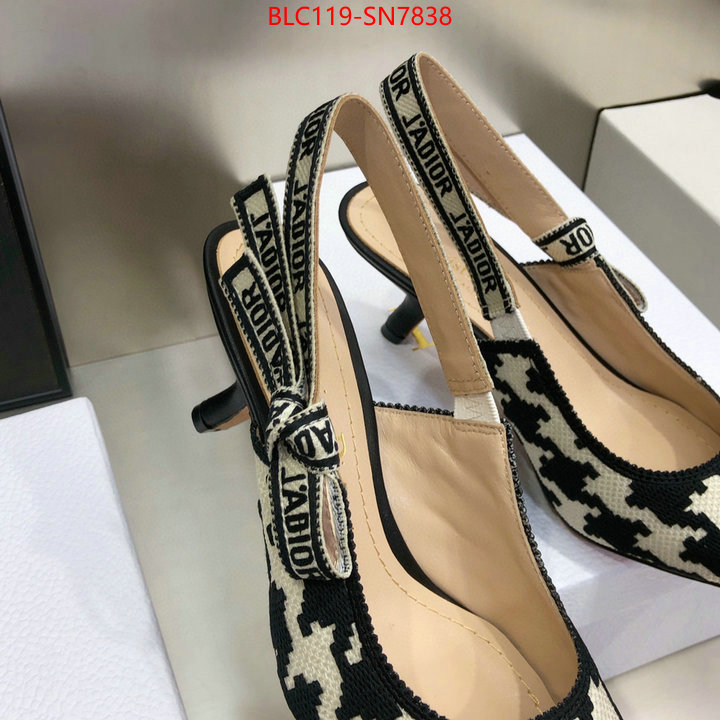 Women Shoes-Dior,can i buy replica , ID: SN7838,$: 119USD