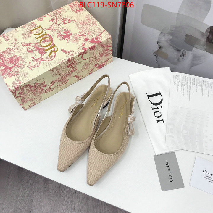 Women Shoes-Dior,how to find replica shop , ID: SN7806,$: 119USD