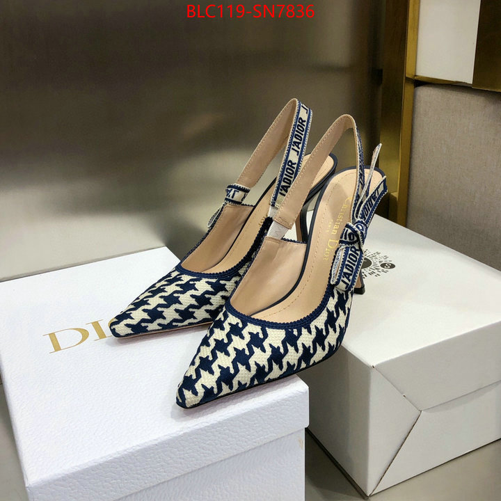 Women Shoes-Dior,what's the best to buy replica , ID: SN7836,$: 119USD