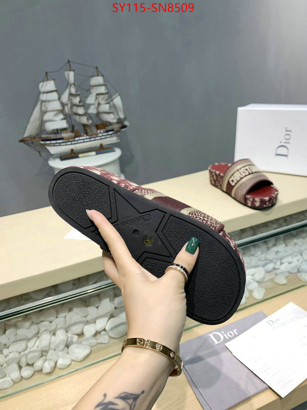 Women Shoes-Dior,sell online , ID: SN8509,$: 115USD