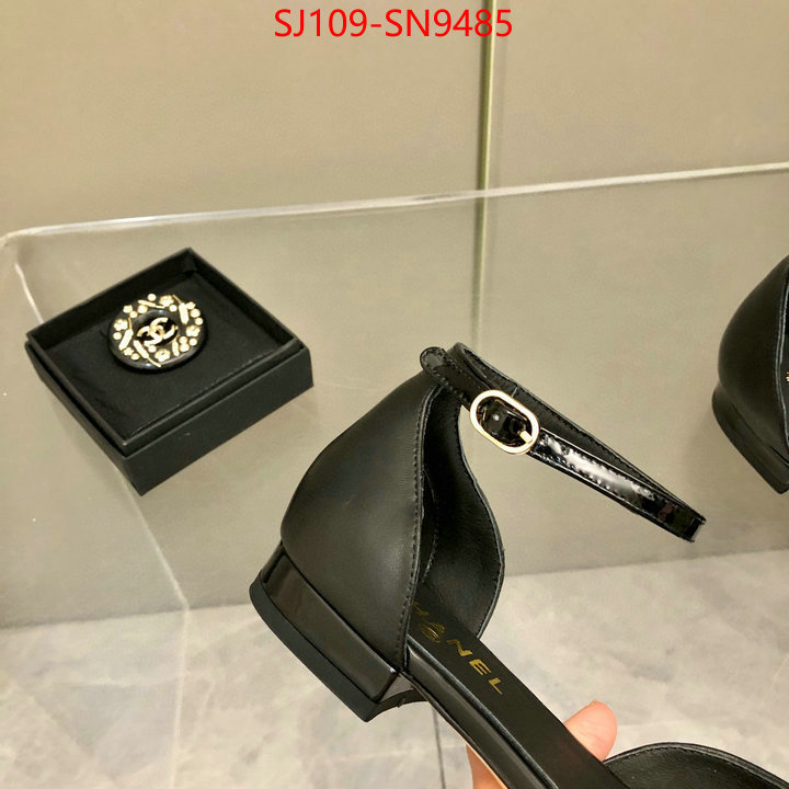 Women Shoes-Chanel,perfect replica , ID: SN9485,$: 109USD