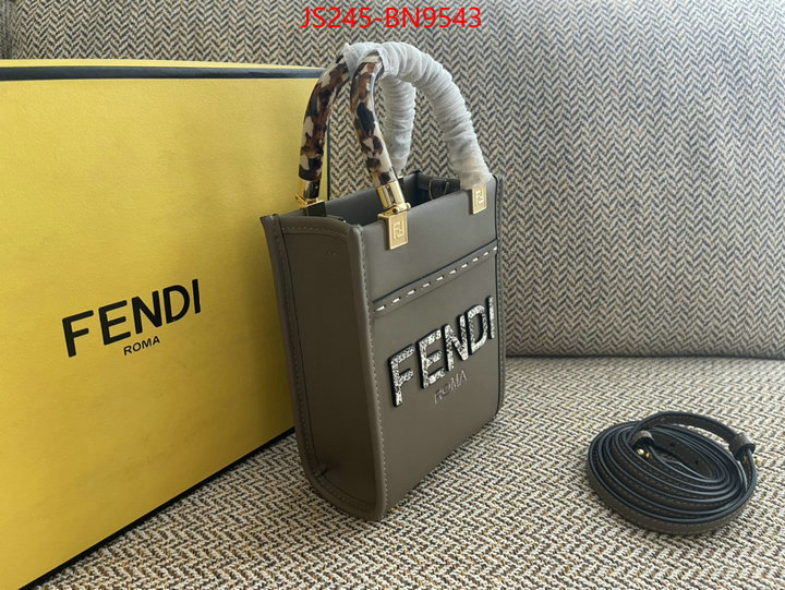 Fendi Bags(TOP)-Sunshine-,best site for replica ,ID: BN9543,$: 245USD