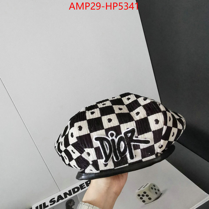 Cap (Hat)-Dior,top quality designer replica , ID: HP5341,$: 29USD