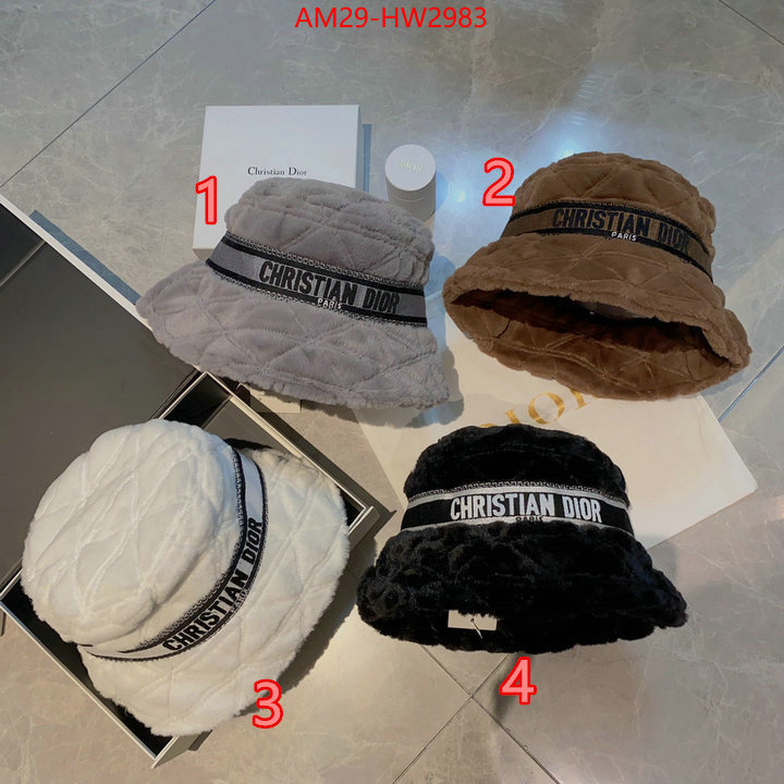 Cap (Hat)-Dior,we curate the best , ID: HW2983,$: 29USD