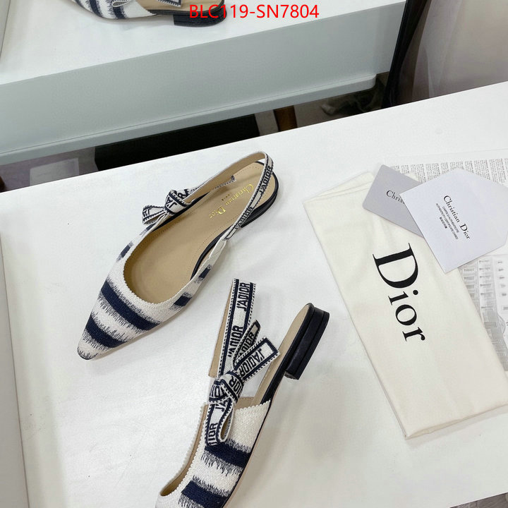 Women Shoes-Dior,wholesale designer shop , ID: SN7804,$: 119USD