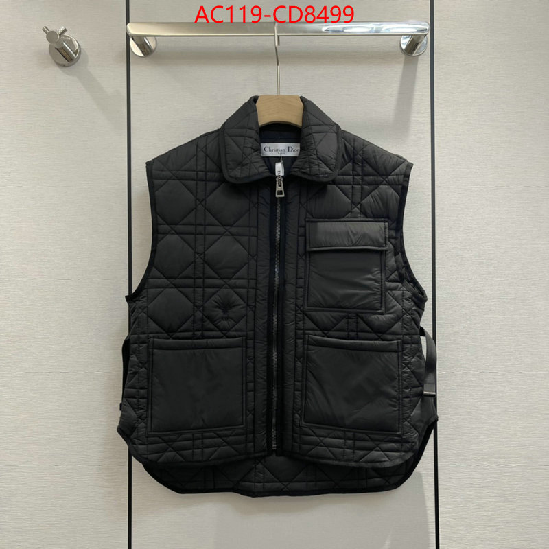 Down jacket Women-Dior,china sale , ID: CD8499,$: 119USD